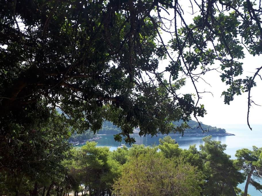 Apartment Kristic - Saplunara, Mljet Babino Polje Exterior foto