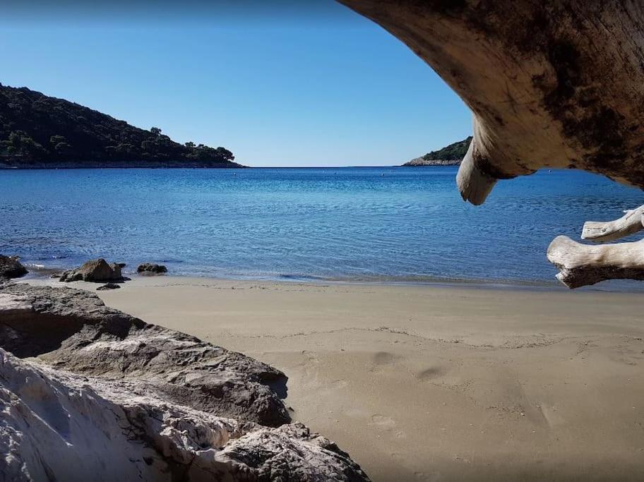 Apartment Kristic - Saplunara, Mljet Babino Polje Exterior foto